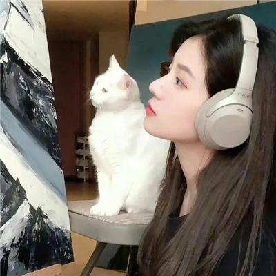 知否知否应是绿肥红瘦